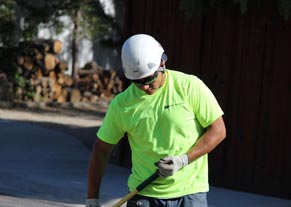 boise tree pruning