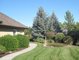 boise landscape company